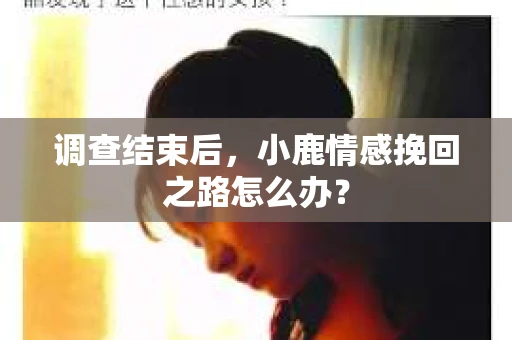 调查结束后，小鹿情感挽回之路怎么办？