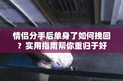 情侣分手后单身了如何挽回？实用指南帮你重归于好