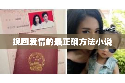 挽回爱情的最正确方法小说