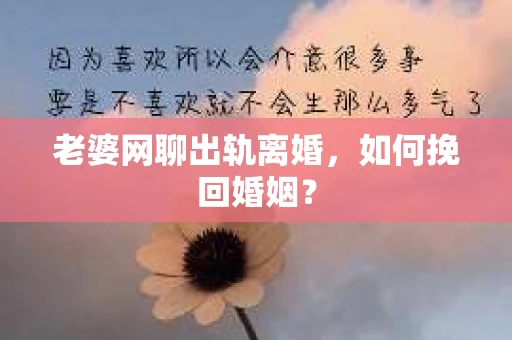 老婆网聊出轨离婚，如何挽回婚姻？