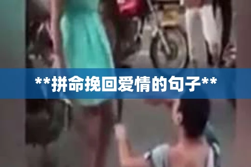 **拼命挽回爱情的句子**