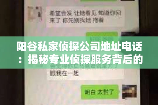 阳谷私家侦探公司地址电话：揭秘专业侦探服务背后的故事