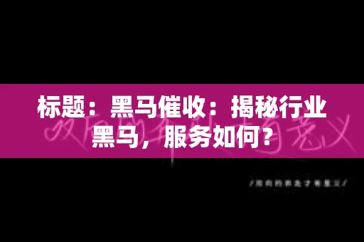 标题：黑马催收：揭秘行业黑马，服务如何？