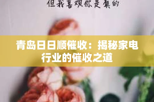 青岛日日顺催收：揭秘家电行业的催收之道