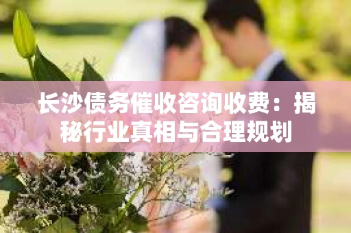 长沙债务催收咨询收费：揭秘行业真相与合理规划
