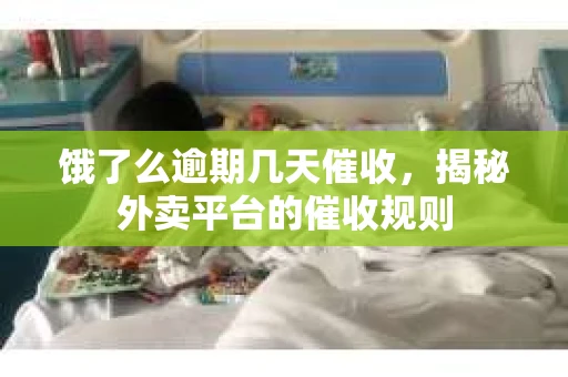饿了么逾期几天催收，揭秘外卖平台的催收规则