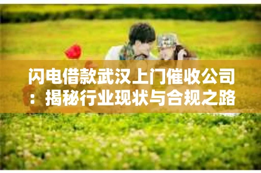 闪电借款武汉上门催收公司：揭秘行业现状与合规之路