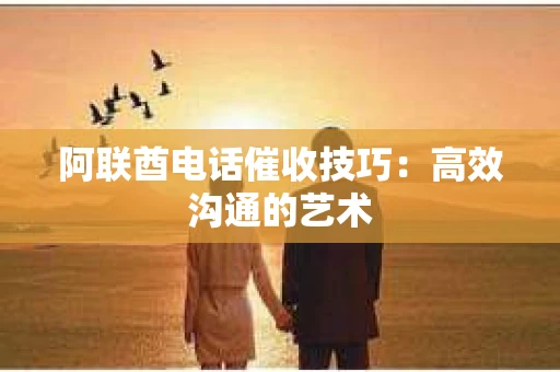 阿联酋电话催收技巧：高效沟通的艺术
