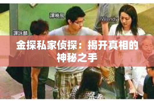 金探私家侦探：揭开真相的神秘之手