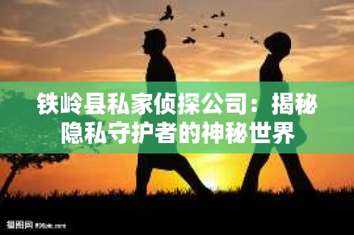 铁岭县私家侦探公司：揭秘隐私守护者的神秘世界