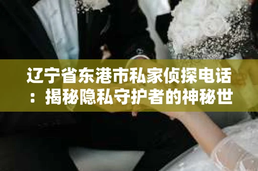 辽宁省东港市私家侦探电话：揭秘隐私守护者的神秘世界