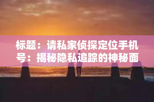 标题：请私家侦探定位手机号：揭秘隐私追踪的神秘面纱