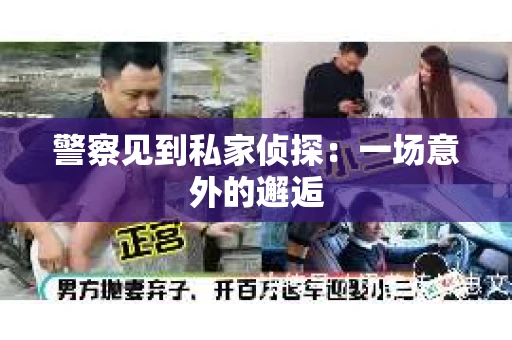 警察见到私家侦探：一场意外的邂逅