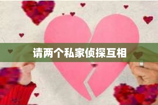 请两个私家侦探互相