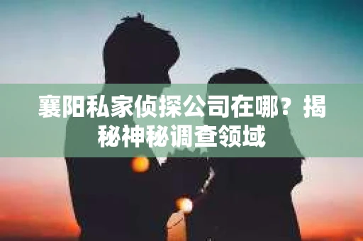 襄阳私家侦探公司在哪？揭秘神秘调查领域