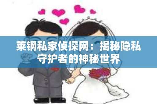 莱钢私家侦探网：揭秘隐私守护者的神秘世界