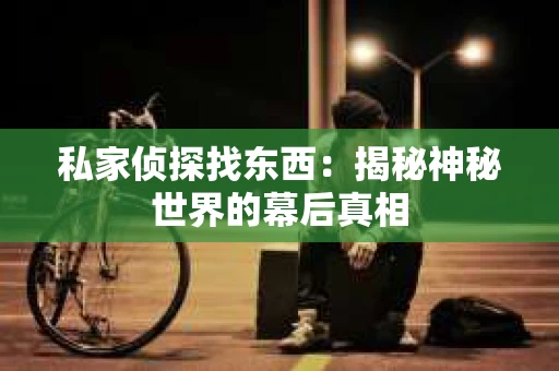 私家侦探找东西：揭秘神秘世界的幕后真相