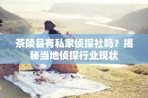 茶陵县有私家侦探社吗？揭秘当地侦探行业现状