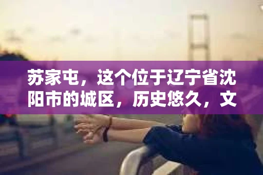 苏家屯，这个位于辽宁省沈阳市的城区，历史悠久，文化底蕴深厚。近年来，随着社会的发展，人们对于私家侦探的需求也逐渐增加。那么，苏家屯有私家侦探吗？今天，我们就来聊聊这个话题。