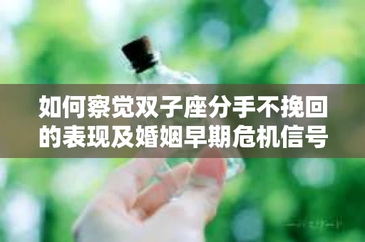 如何察觉双子座分手不挽回的表现及婚姻早期危机信号？
