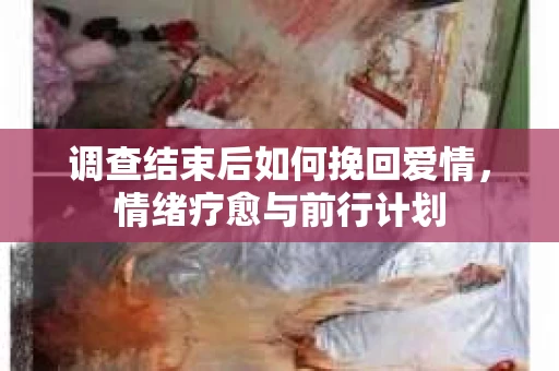 调查结束后如何挽回爱情,情绪疗愈与前行计划 调查结束后如何挽回爱情,情绪疗愈与前行计划