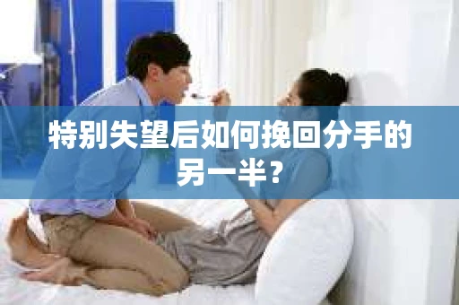 特别失望后如何挽回分手的另一半？