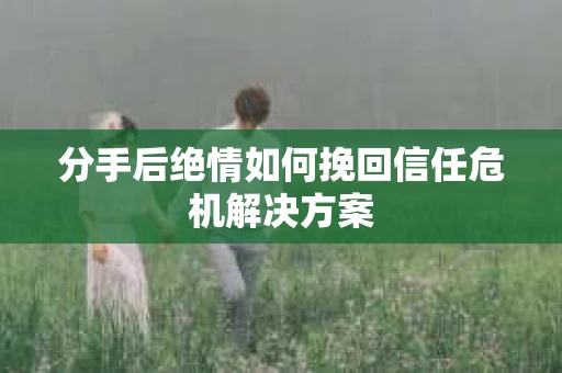 分手后绝情如何挽回信任危机解决方案
