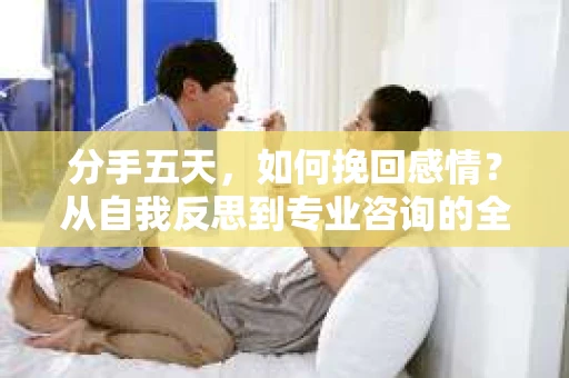 分手五天,如何挽回感情?从自我反思到专业咨询的全面解决方案 分手五天,如何挽回感情?从自我反思到专业咨询的全面解决方案
