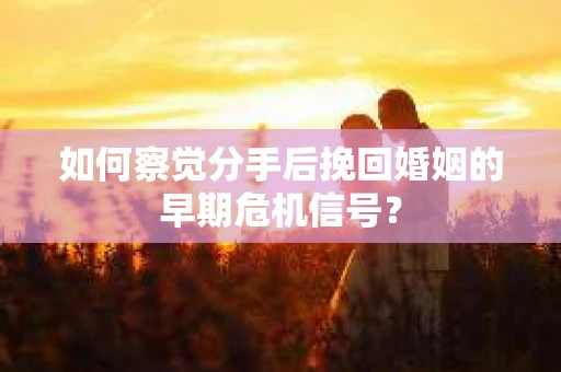 如何察觉分手后挽回婚姻的早期危机信号？