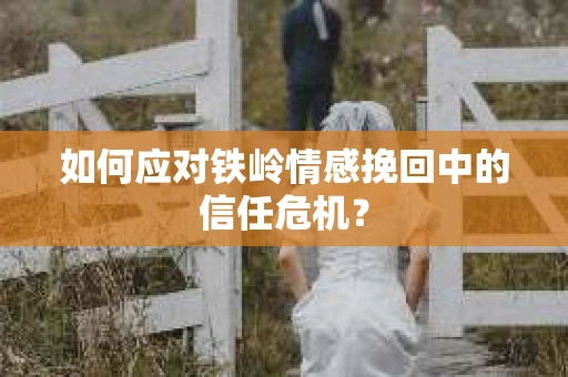 如何应对铁岭情感挽回中的信任危机？