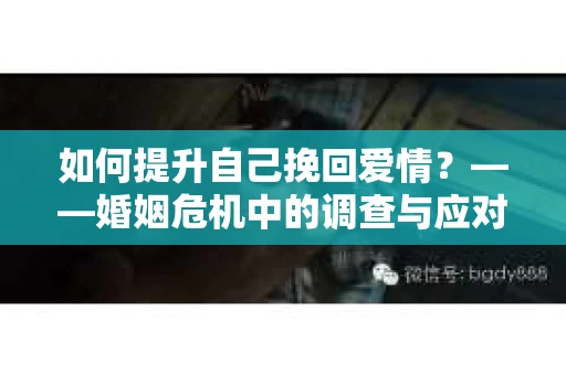 如何提升自己挽回爱情？——婚姻危机中的调查与应对策略