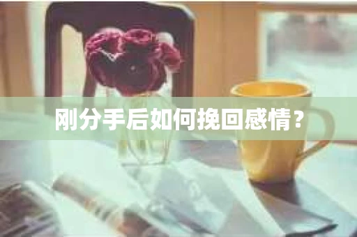 刚分手后如何挽回感情？